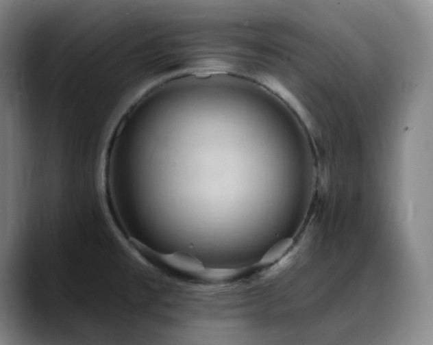X0000090481477200707131307