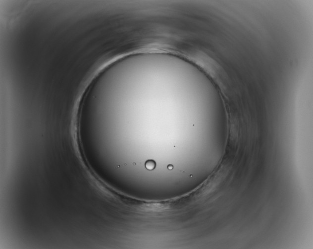 X0000090481478200707131307