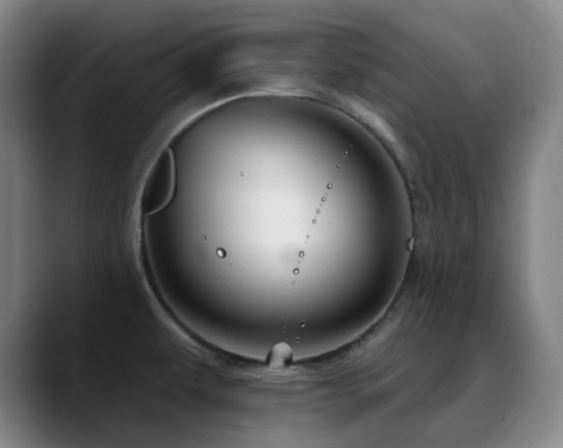 X0000090481479200707131307