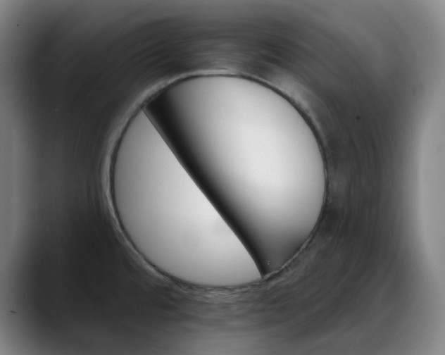 X0000090481480200707131307