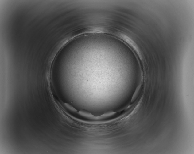 X0000090481481200707131307