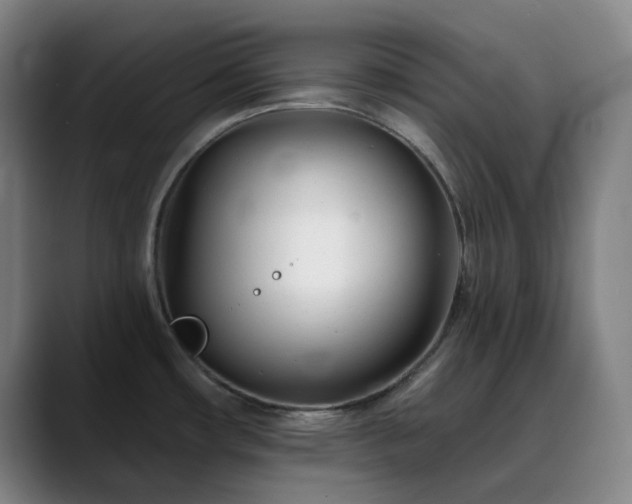 X0000090481482200707131307