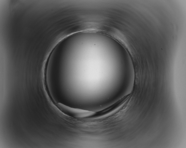 X0000090481483200707131307