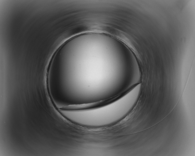 X0000090481484200707131307