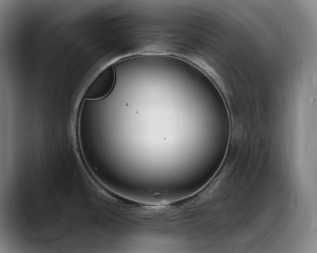 X0000090481486200707131307