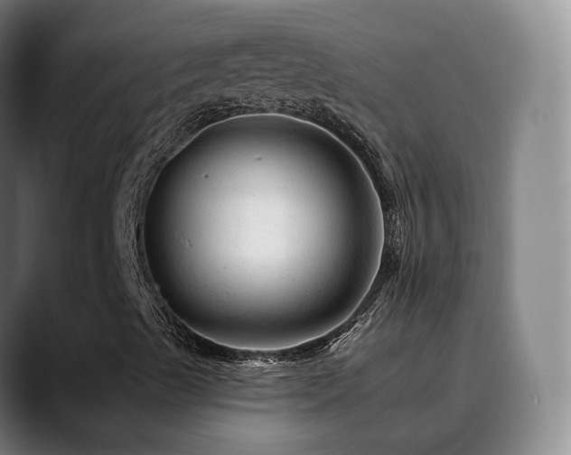 X0000090481489200707131306