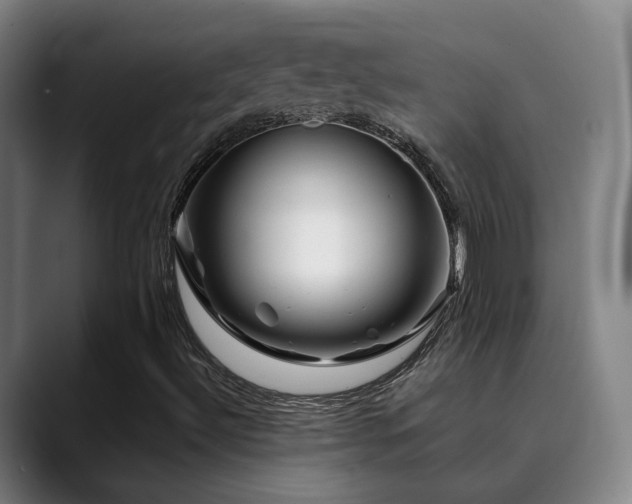 X0000090481492200707131306
