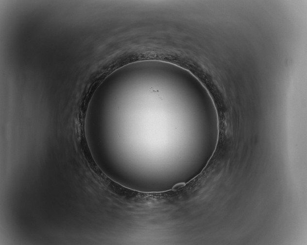 X0000090481493200707131306