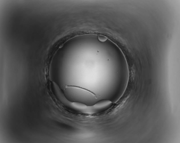 X0000090481494200707131306