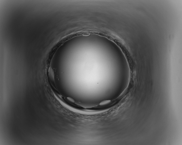 X0000090481496200707131306