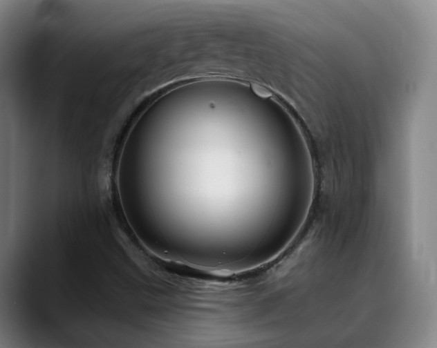 X0000090481499200707131306
