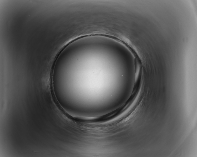 X0000090481500200707131306