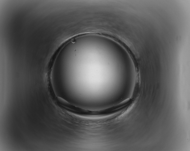 X0000090481501200707131306