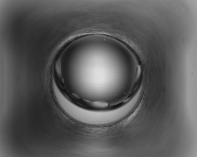 X0000090481502200707131306