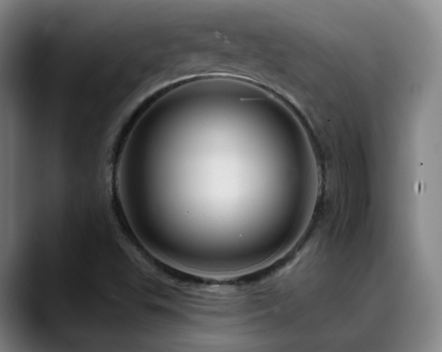 X0000090481503200707131306