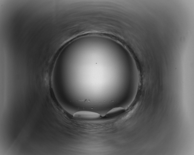 X0000090481505200707131306