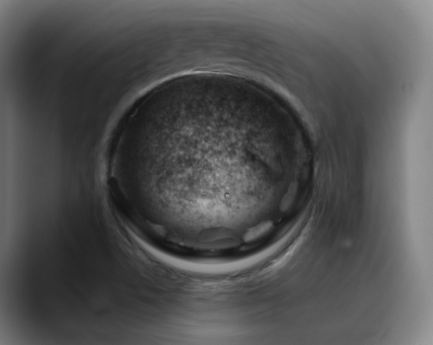 X0000090481506200707131306