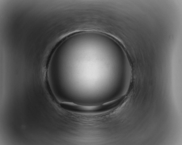 X0000090481507200707131306