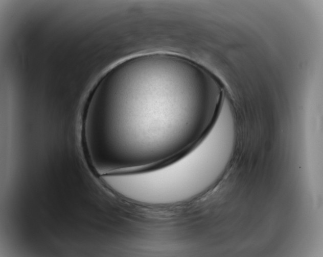 X0000090481508200707131306