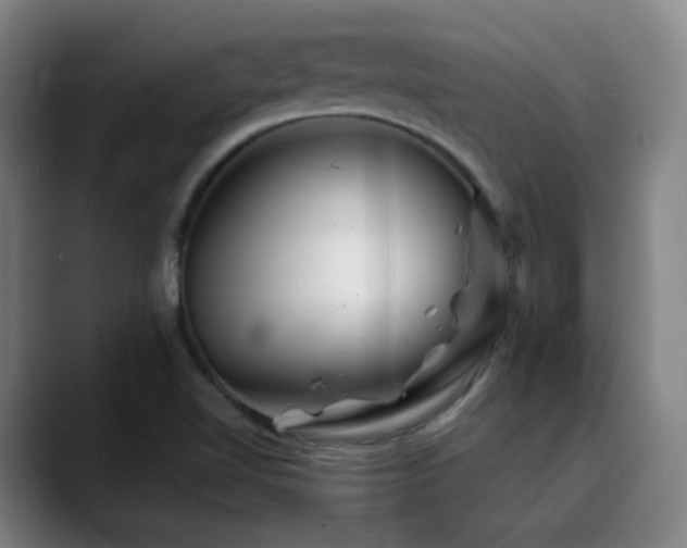 X0000090481510200707131306