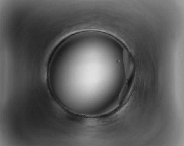 X0000090481511200707131306