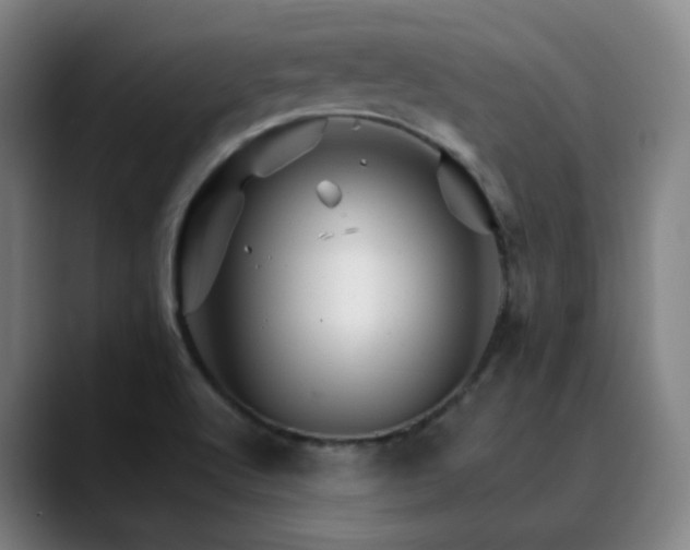 X0000090481512200707131306