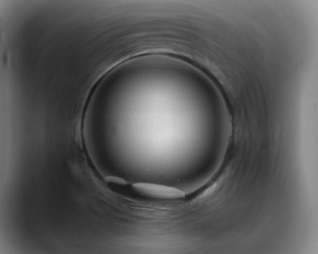 X0000090481513200707131306