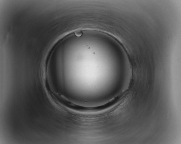 X0000090481515200707131306