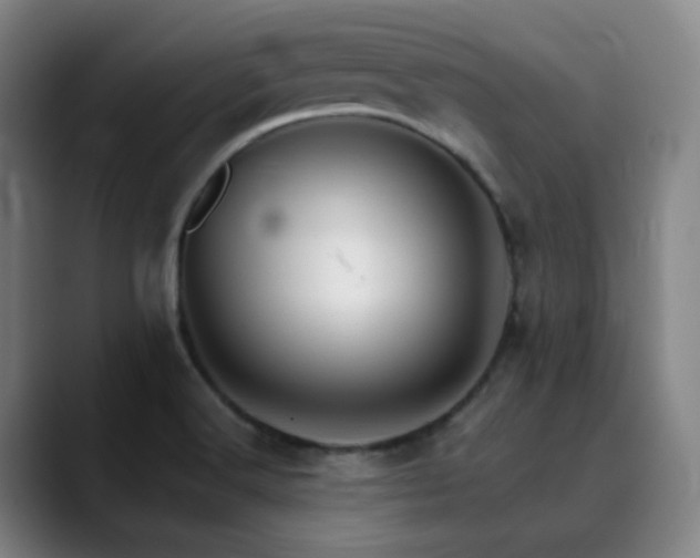 X0000090481516200707131306