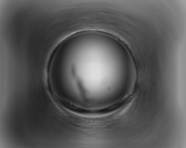 X0000090481517200707131306