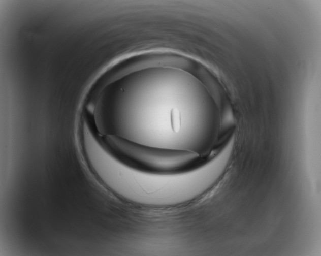 X0000090481518200707131306