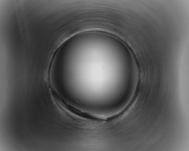 X0000090481521200707131306