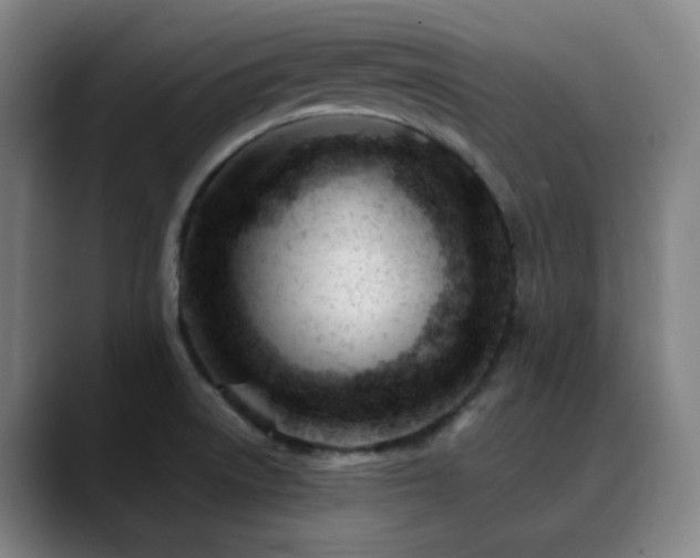 X0000090481522200707131306