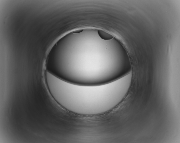 X0000090481524200707131306