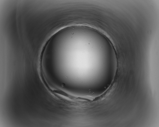 X0000090481525200707131306