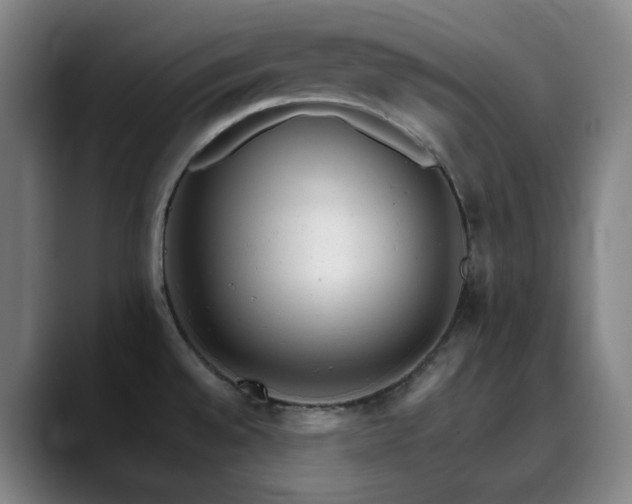 X0000090481528200707131306
