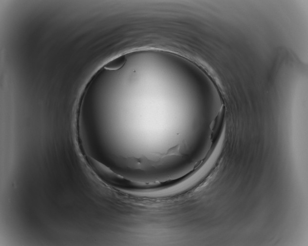 X0000090481530200707131306
