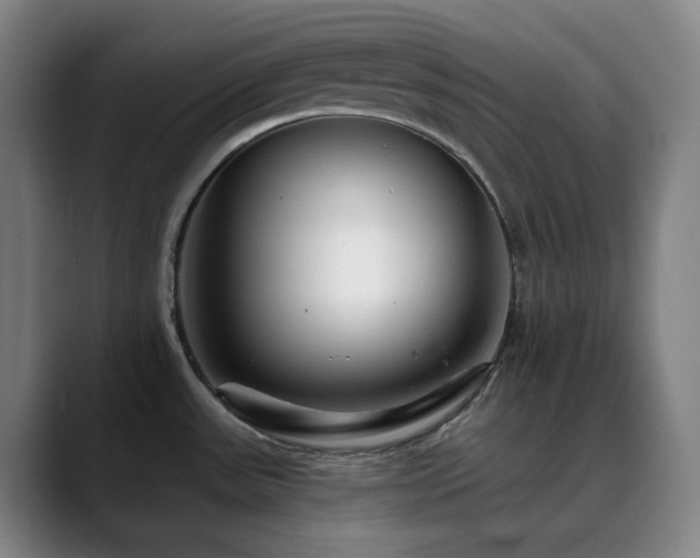 X0000090481531200707131306