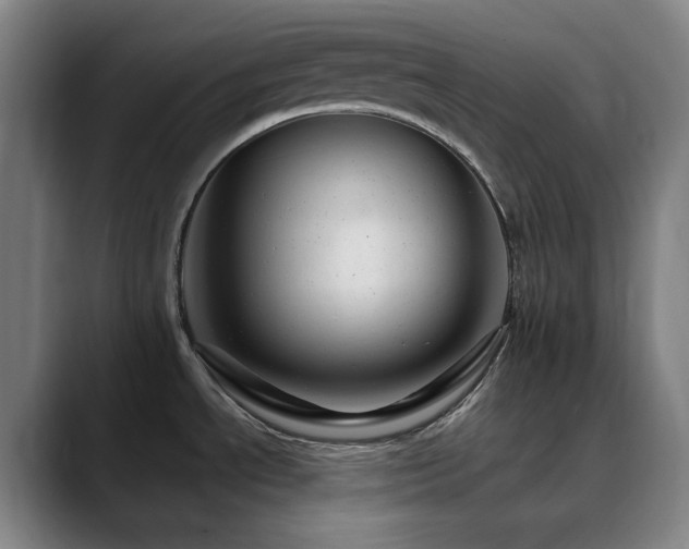 X0000090481534200707131306