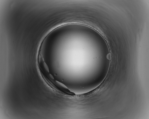 X0000090481536200707131306