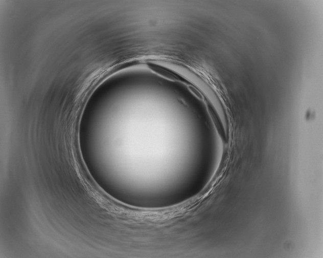 X0000090480001200707201425