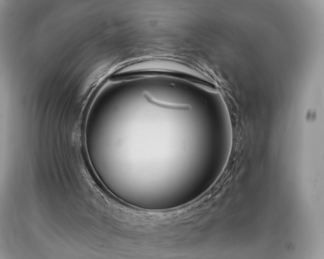 X0000090480002200707201425