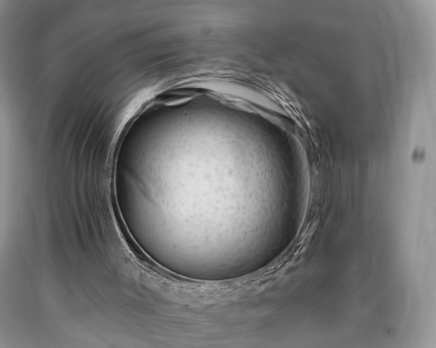 X0000090480003200707201425