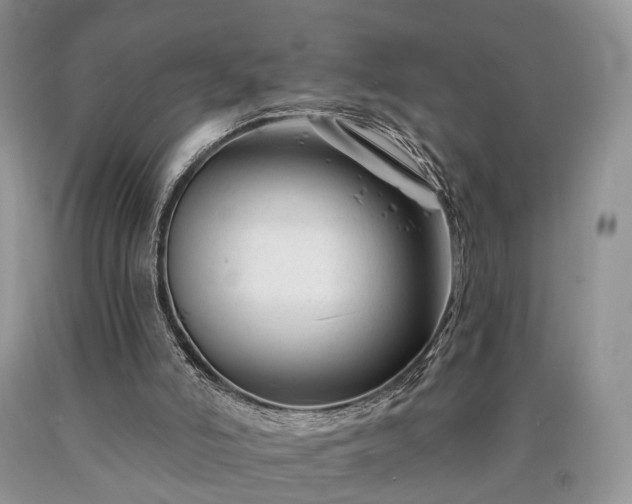 X0000090480006200707201425