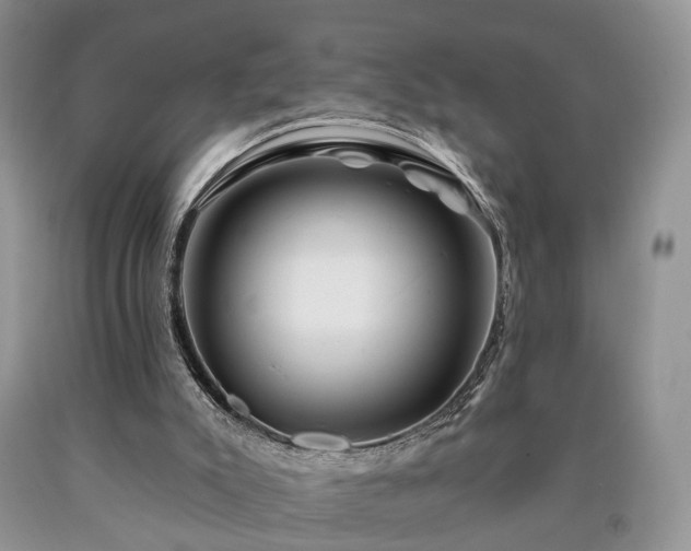 X0000090480007200707201425