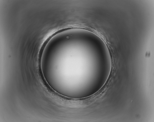 X0000090480008200707201425