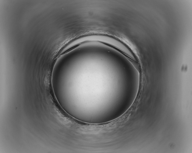 X0000090480009200707201425