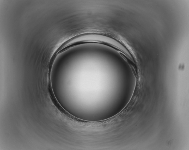 X0000090480011200707201425