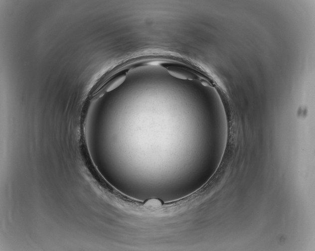 X0000090480015200707201425