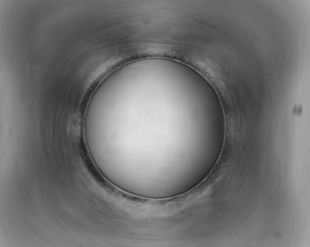 X0000090480016200707201425